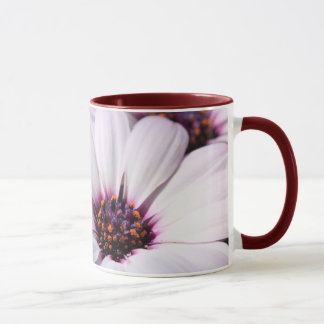 Caneca Osteospermum