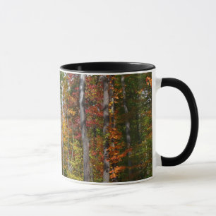 Caneca Outono na Floresta Fotografia Colorida de Outono