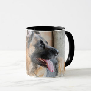 Caneca Ovinos Alemães Descansados Por Bacia De Água