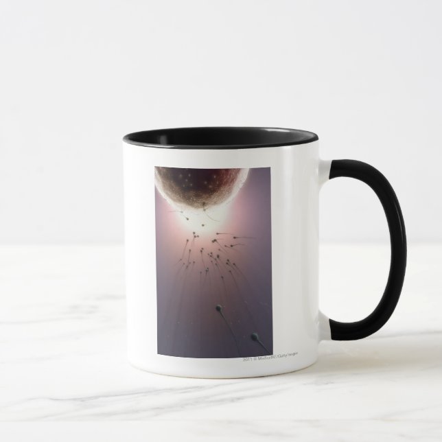 Caneca Ovo que está sendo fertilizado pelo esperma (Direita)