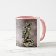 Ovos estrelados de coruja