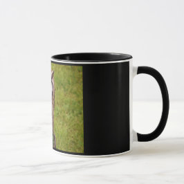 Caneca Owl Mug