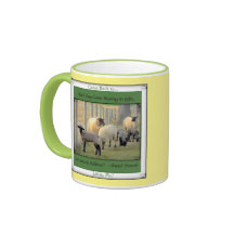 Pa de Lititz. Voltado! Carneiros bonitos!