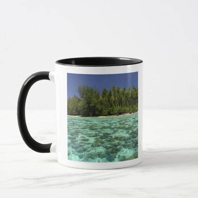 Caneca Pacífico Sul, Polinésia Francesa, Coreia 3 (Esquerda)