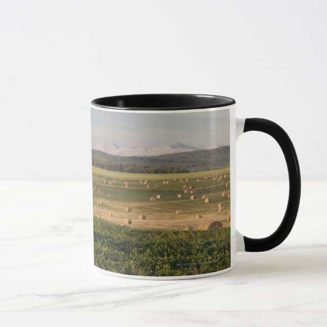 Caneca Pacotes de feno em um campo com as montanhas no (Direita)