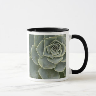 Caneca Padrão de cacto