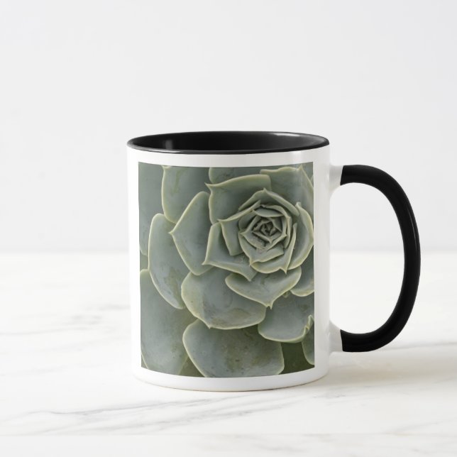 Caneca Padrão de cacto (Direita)