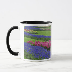 Caneca Padrão de Jacinto-de-uva, tulipas e