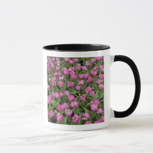Caneca Padrão de jardim de tulipas, Jardins Keukenhof,