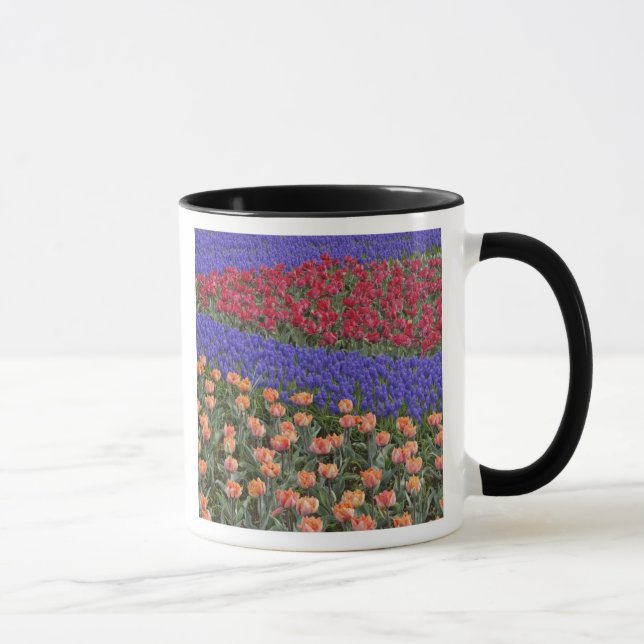 Caneca Padrão de tulipas e de flores de Hyacinth de Uvas, (Direita)