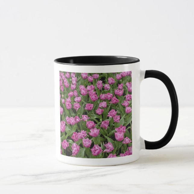 Caneca Padrão de tulipas, Jardins de Keukenhof, (Direita)