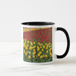 Caneca Padrão de tulipas, Jardins de Keukenhof, 2