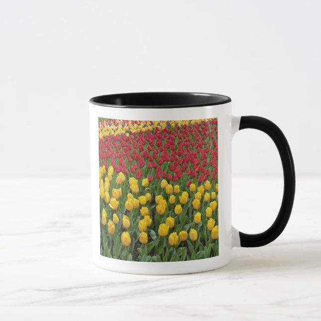 Caneca Padrão de tulipas, Jardins de Keukenhof, 2 (Direita)
