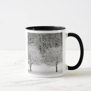 Caneca Paisagem coberto de neve