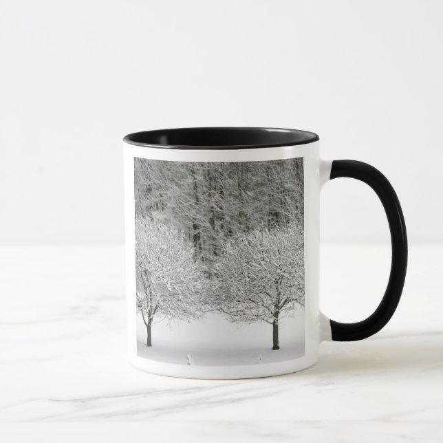 Caneca Paisagem coberto de neve (Direita)