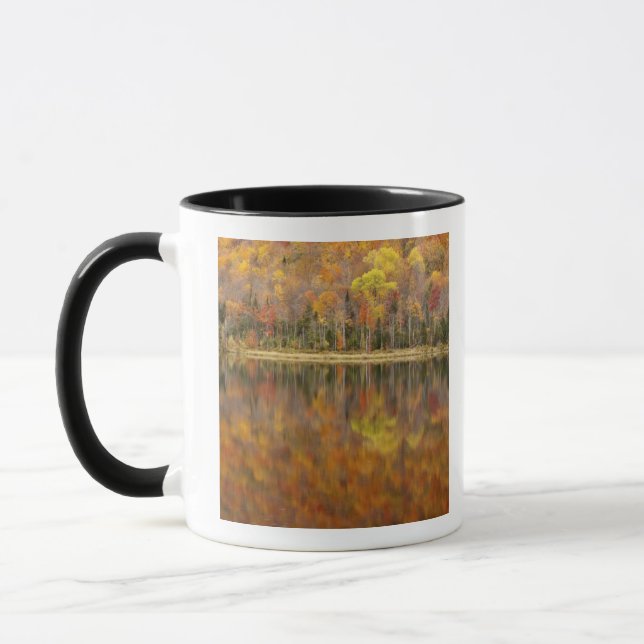 Caneca Paisagem de outono com lago, Vermont, EUA (Esquerda)