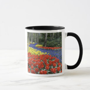Caneca Países Baixos, Holanda, Lisse, Jardins Keukenhof