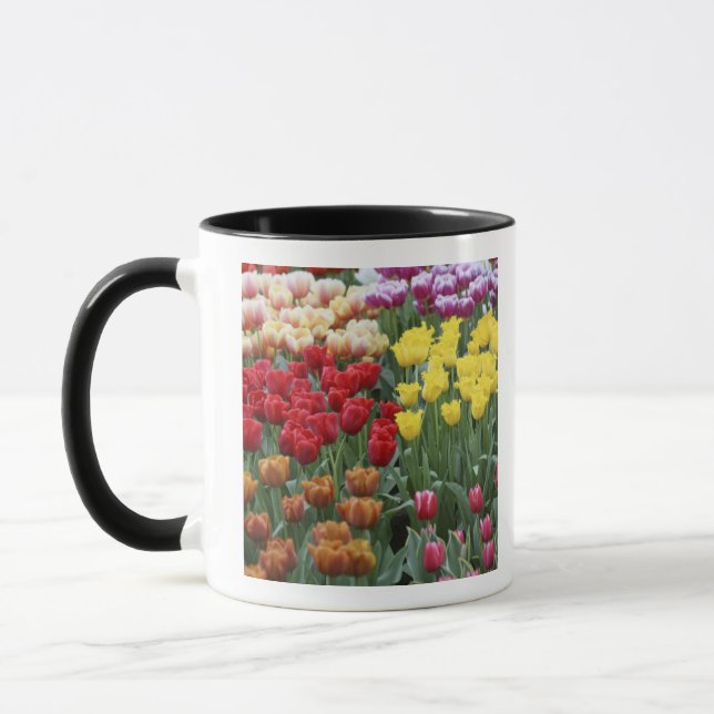 Caneca Países Baixos, Jardins de Keukenhoff, tulipas. (Esquerda)