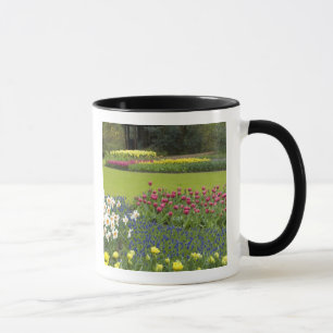 Caneca Países Baixos (também conhecido como Holanda), Lis