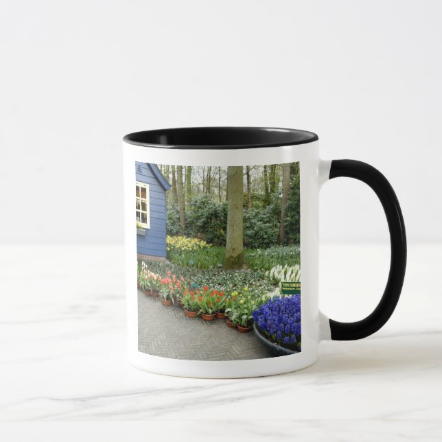 Caneca Países Baixos (também conhecido como Holanda), Lis (Direita)
