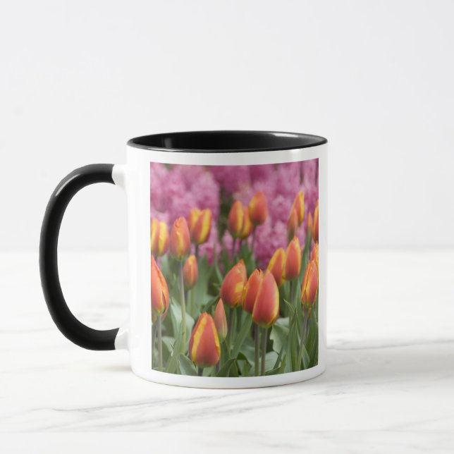 Caneca Países Baixos (também conhecido como Holanda), Lis (Esquerda)