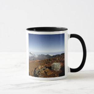 Caneca Palavra-de-prata sobre a cratera de Haleakala