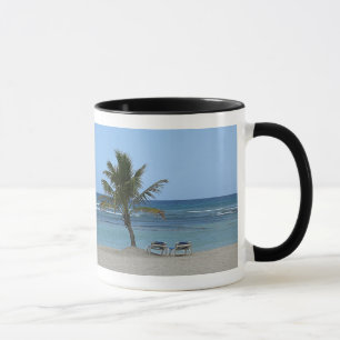 Caneca Palm Tree on the Beach