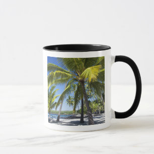 Caneca Palmeiras, Parque Histórico Nacional Pu'uhonua o