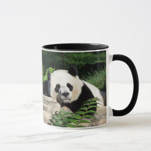 Caneca Panda gigante que Napping