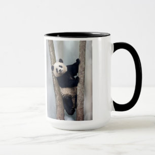 Caneca Panda jovem subindo em uma árvore, China