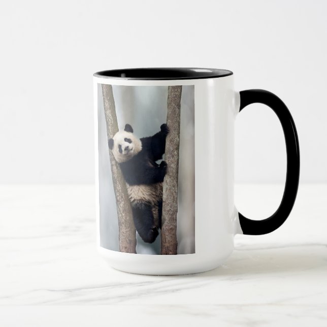 Caneca Panda jovem subindo em uma árvore, China (Direita)