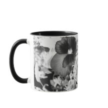Pansy Monocromático Artístico de Foto da Natureza 