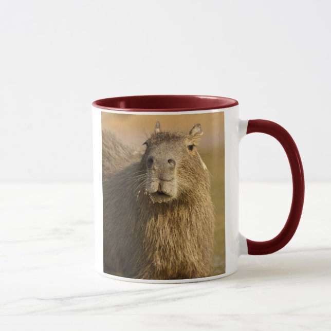 Caneca Pantanal, Brasil, Capivara, Hydrochoerus (Direita)