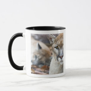 Caneca Pantera da Flórida