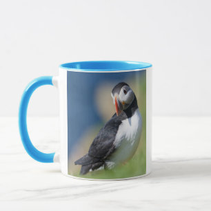 Caneca Papagaio-do-mar (Fratercula Arctica) no Penhasco 2