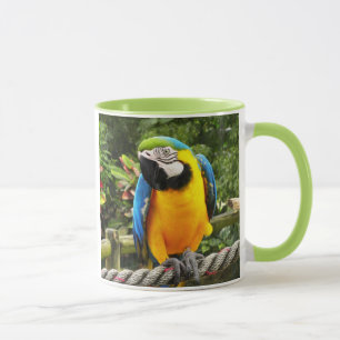 Caneca Papagaio-Macaw Exótico