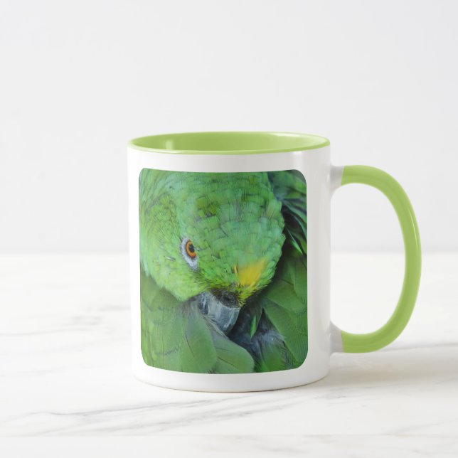 Caneca Papagaio verde de Amazon (Direita)