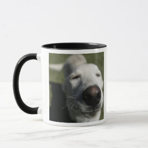 Caneca Papais noeis Fe, Novo México