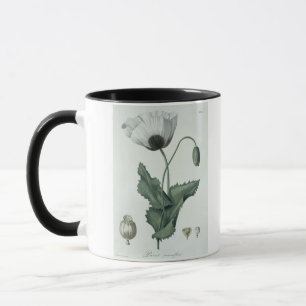 Caneca Papaver - somniferum de "Phytographie Medicale"