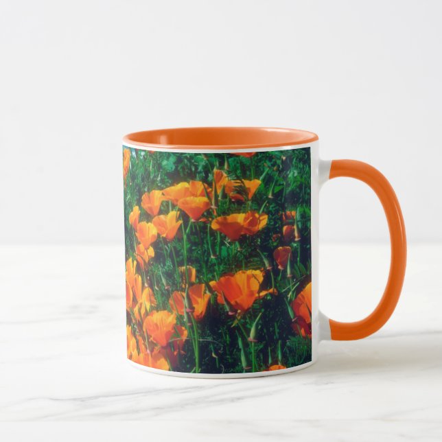 Caneca Papoulas ao longo da Costa do Pacífico perto de Bi (Direita)