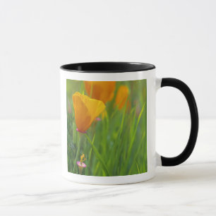 Caneca Papoulas douradas da Califórnia em um campo verde