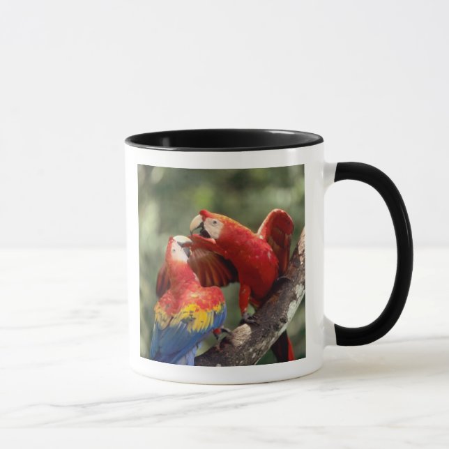 Caneca Par de Araras-vermelhas (Direita)