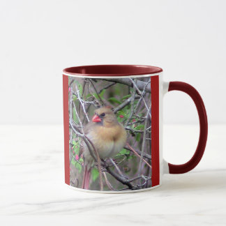 Caneca Par de Cardinais Masculino e Feminino ( Primavera)