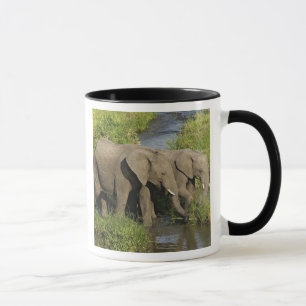 Caneca Par de Elefantes Africanos Masai Mara