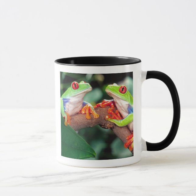Caneca Par de Red Eye Treefrog, Agalychinis callidryas, (Direita)