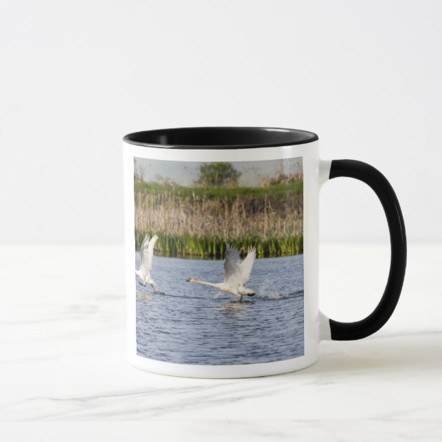Caneca Par de tundra para decolar (Direita)