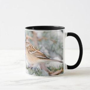 Caneca Pardal de árvore americano no inverno