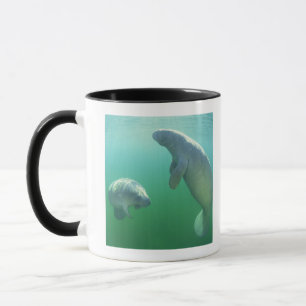 Caneca Pares de peixes-boi de florida que nadam
