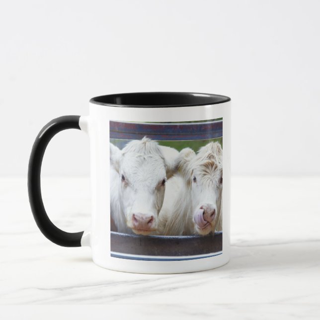 Caneca Pares de vacas brancas novas no reboque de (Esquerda)