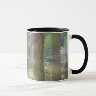 Caneca Parque Estadual da Praia Scenic
